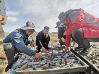 聚焦找礦突破 嚴(yán)控項(xiàng)目質(zhì)量 大隊(duì)總工程師深入野外一線(xiàn)督導(dǎo)檢查地質(zhì)勘查